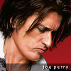 Aerosmith's Joe Perry: 'I have 600 guitars!'