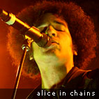 Alice In Chains Excited For New Album And Tour