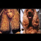 7 Rock Star Lookalikes
