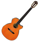 Ibanez AEG, The Electric Player's Acoustic, Gets Upgrades