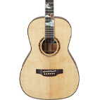 Takamine Introduces New Hand-Crafted LTD2013 'Peak' Models