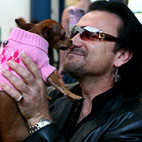 U2: Bono's Foundation Gives Only One Percent To Charity
