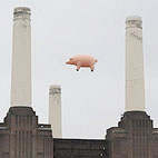 Pink Floyd Pig Flies Again