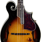 Fender Acoustic New Summer Additions