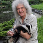 Brian May Named PETA's Person Of The Year For Badger Activism
