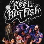 Reel Big Fish�s 'Live! In Concert!' DVD