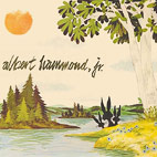 Albert Hammond, Jr: 'Yours To Keep' Hits US 03/06