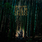 Dum Spiro Spero