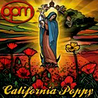 California Poppy