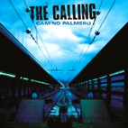 Camino Palmero