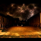 Saturnalia