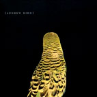 Andrew Bird : Armchair