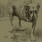 Alice In Chains
