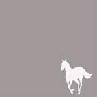 White Pony
