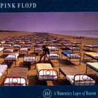 A Momentary Lapse Of Reason