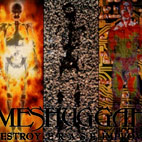 Destroy, Erase, Improve