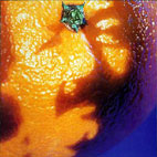 A Picture Of Nectar