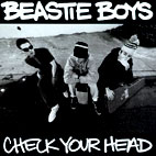 Check Your Head