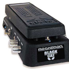 Black Cat Moan
