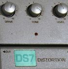 DS7 Distortion