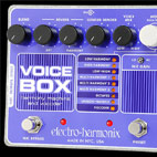 Voice Box