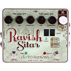 Ravish Sitar