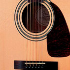 DG-14SCE