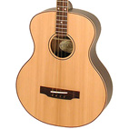 3372 Tenor Guitar