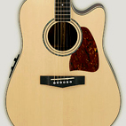 AW100ECE-NT