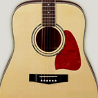 AW100-NT