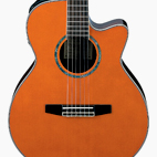 AEG10NE