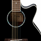 AEG10E-BK