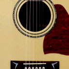 AW300-NT