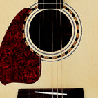 PF5L-NT