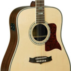 TW1000 B