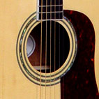 WD54SW