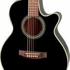 EG260C