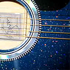 Starlight Steel String Cutaway Limited Edition