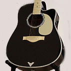 Vintage Legacy Signed Custom Series