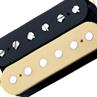 Tone Zone DP155