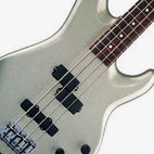 Zone Bass