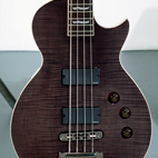 LTD EC-404