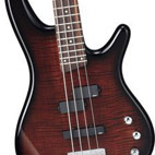 SR300FM