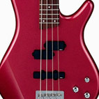 SR300DX