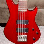 BG-V