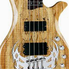 Array Limited 5