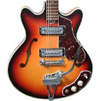 Silvertone 319