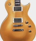 LTD EC-300