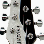 LTD SA-2 Sambora