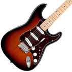 Standard Strat